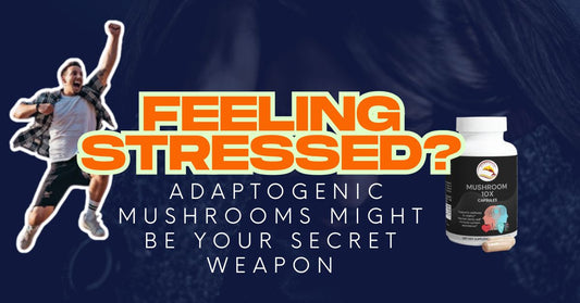 Feeling Stressed? Adaptogenic Mushrooms Might Be Your Secret Weapon