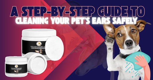 A Step-by-Step Guide to Cleaning Your Pet’s Ears Safely
